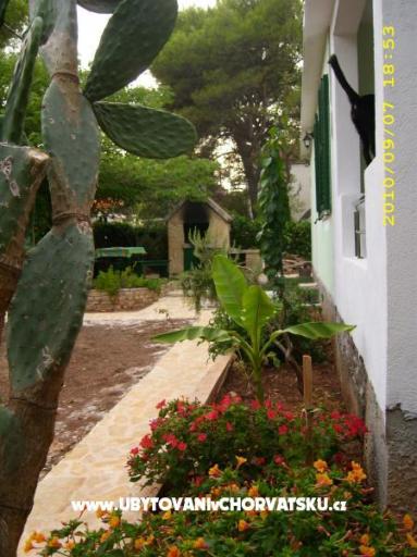 Appartamenti Antica – foto 9
