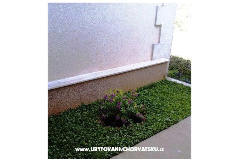 Appartamenti Belić Nikola – foto 17