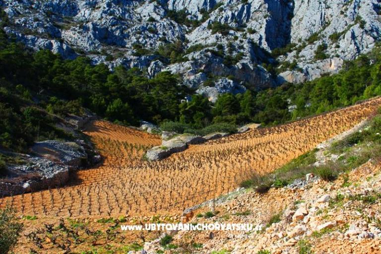 Appartamenti Floris Ivan Dolac – foto 16