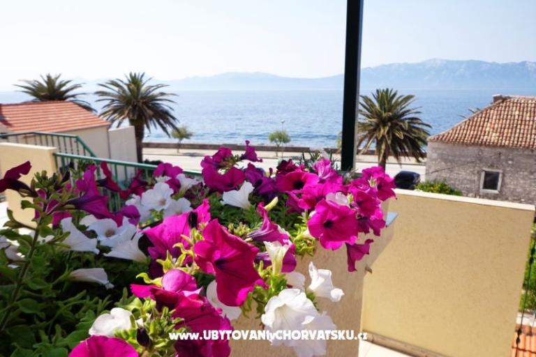 Appartamenti Jure – foto 12
