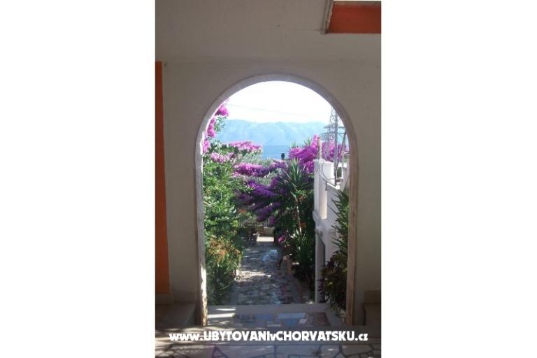 Appartamenti Nada – foto 4