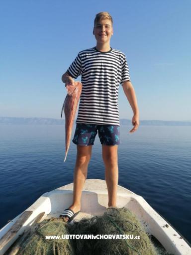 Appartamenti Natali – foto 7