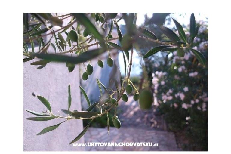 Appartamenti Stipišić – foto 6