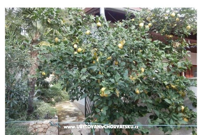 Appartamenti Bogović – foto 20