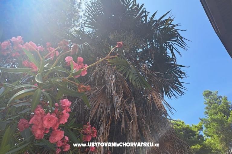 Appartamenti Bogović – foto 28