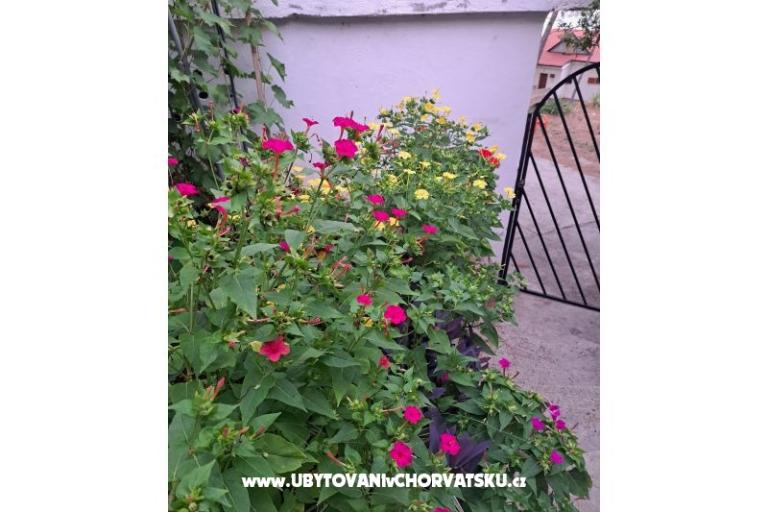 Appartamenti Bogović – foto 42