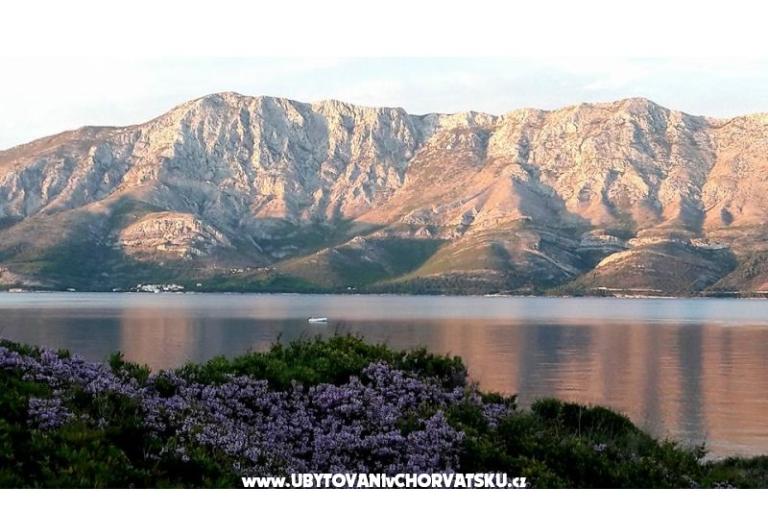 Appartamenti Raueiser – foto 15