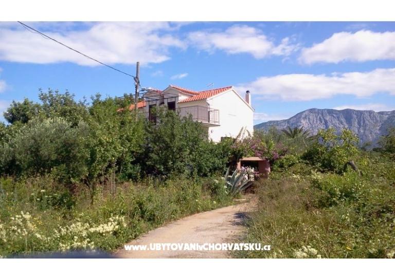 Appartamenti Rolanda – foto 13