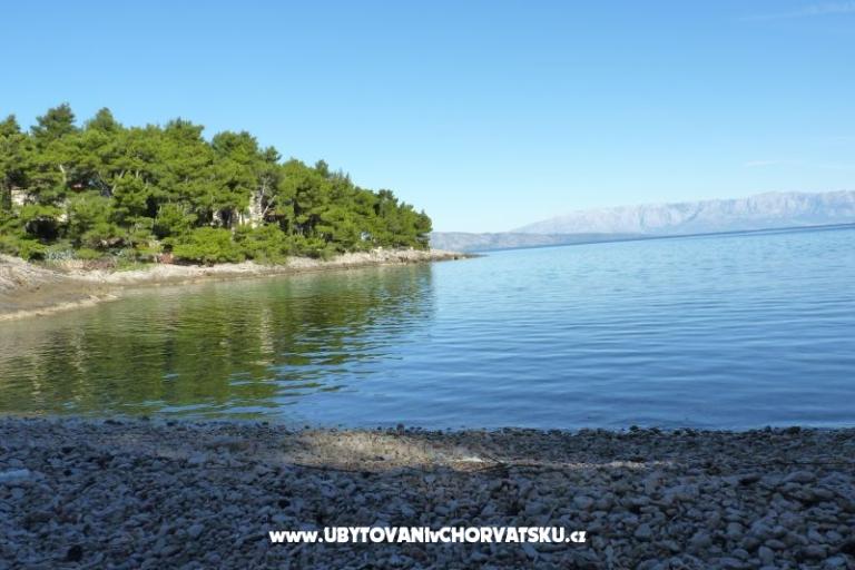 AppartamentiNikolinaGrgicevic – foto 7