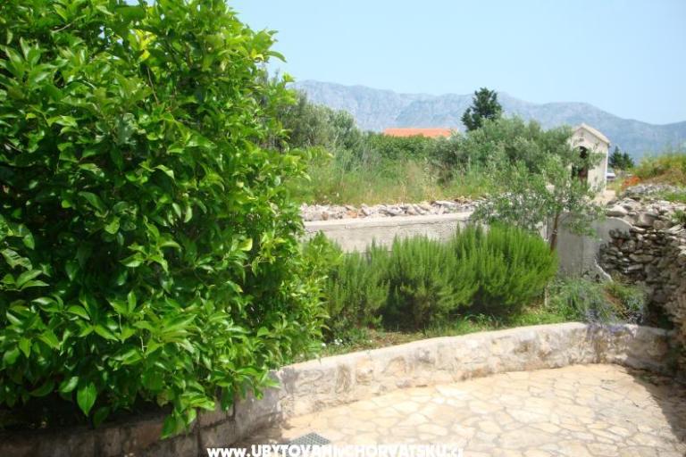 Casa Jadranka – foto 14
