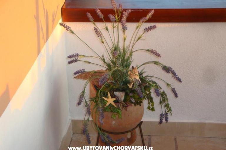 Casa Jadranka – foto 7