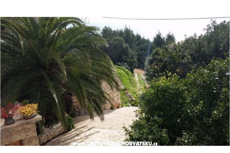 Case vacanza Rubinić – foto 4