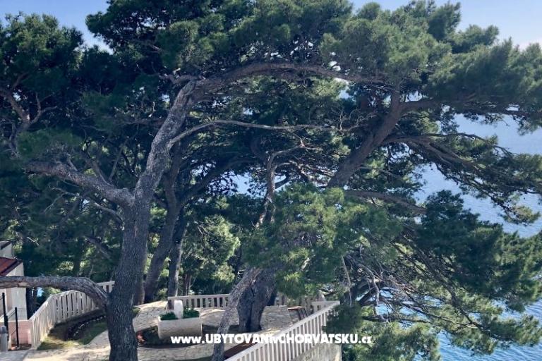 Appartamenti  Ines – foto 7