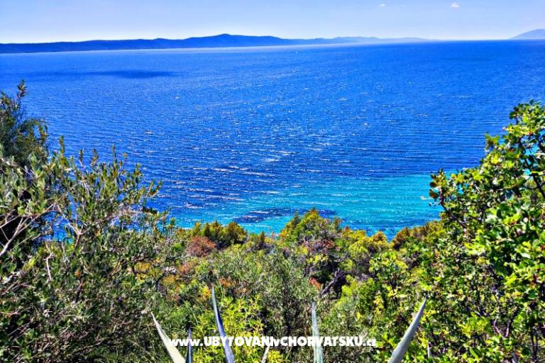 Appartamenti Andja – foto 10