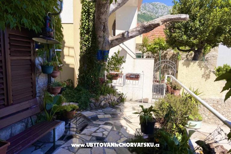 Appartamenti Andja – foto 7