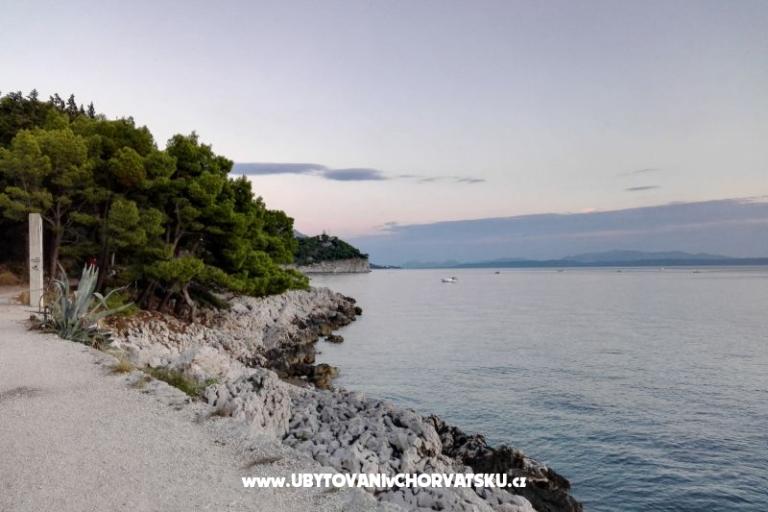 Appartamenti Ribica 1 – foto 10