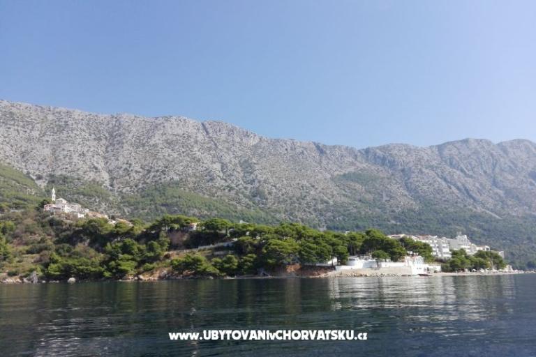 Appartamenti Ribica 1 – foto 9
