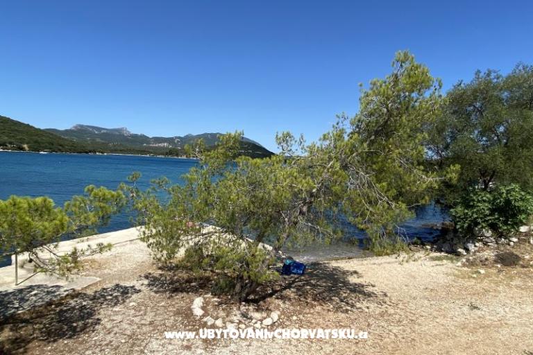 Appartamenti Ankica – foto 2