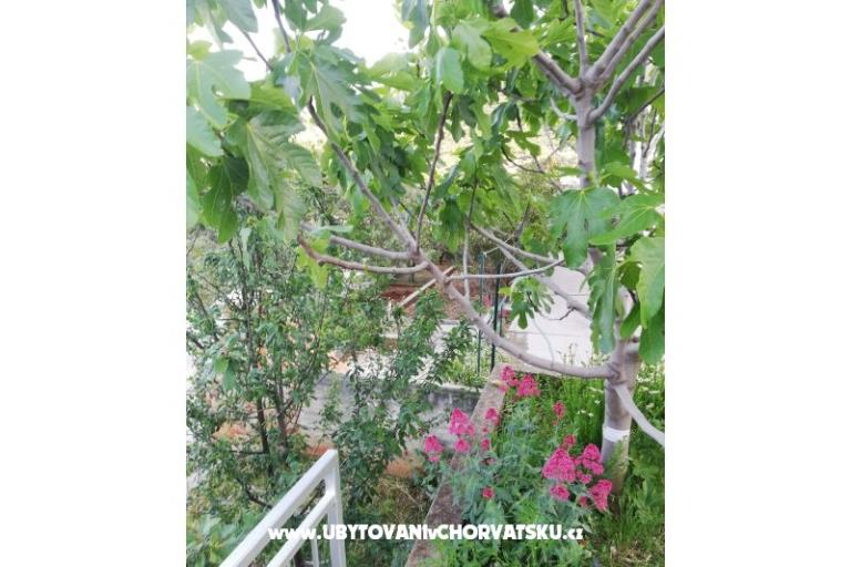 Appartamenti Kabli1 – foto 14