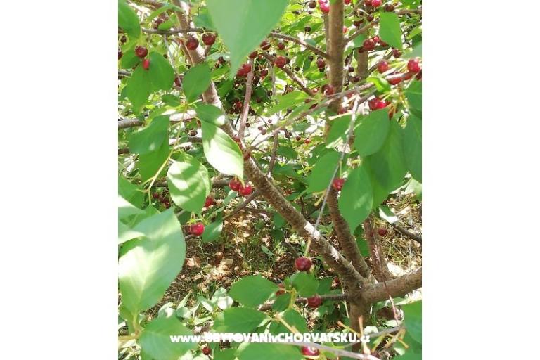 Appartamenti Kabli1 – foto 16