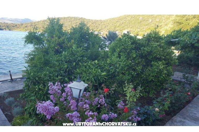 Appartamenti Ruža – foto 9