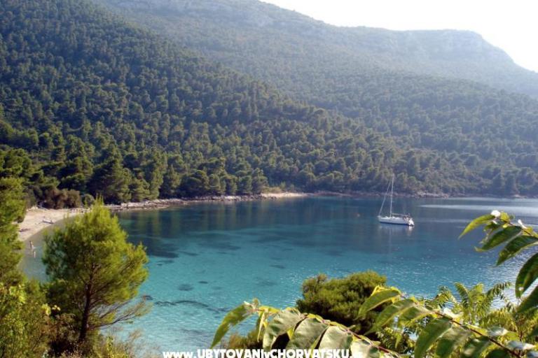Appartamenti Trstenik – foto 8