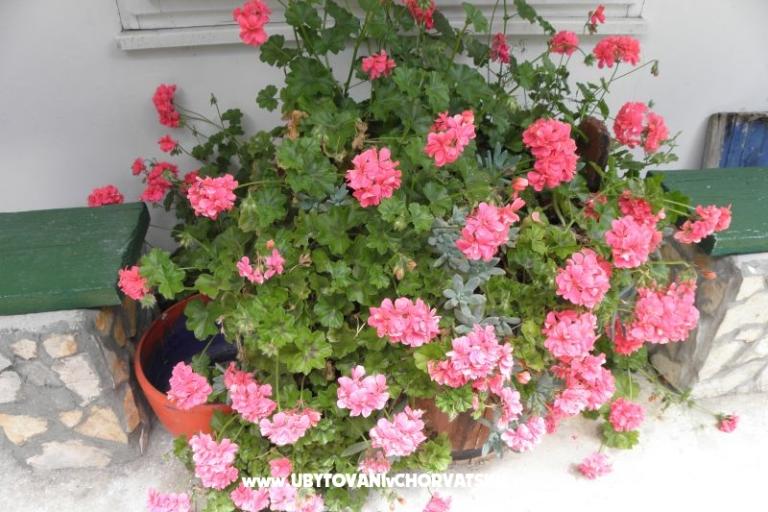 Appartamenti Šime Pelješac – foto 14