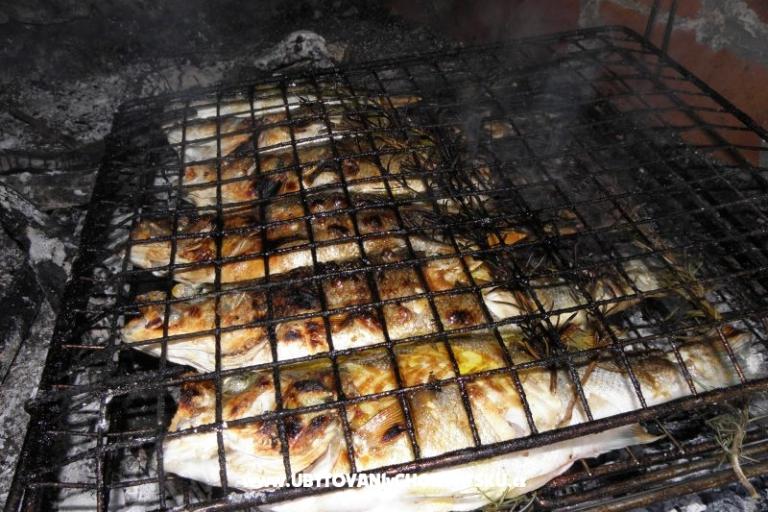 Appartamenti Šime Pelješac – foto 16