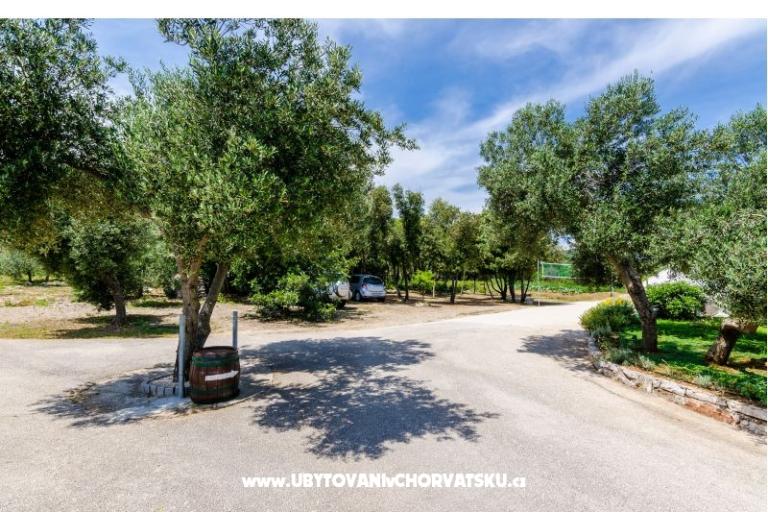 Appartamenti Glavor – foto 13