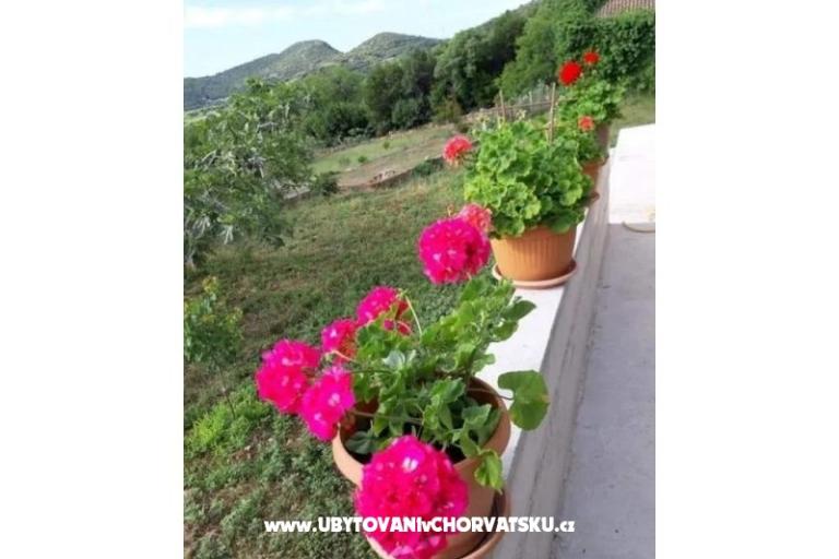 Gardenia Casa – foto 11