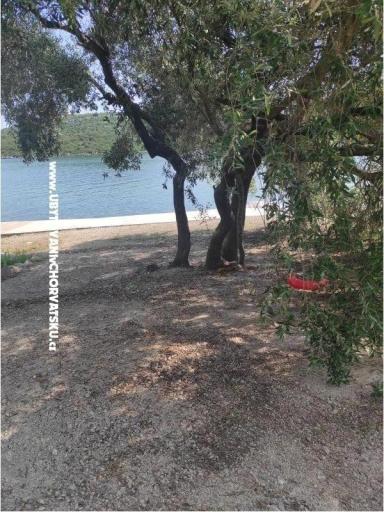 Ted Appartamenti – foto 14