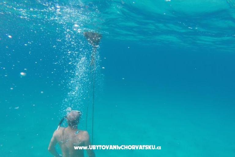 Appartamenti Villa Luce – foto 17