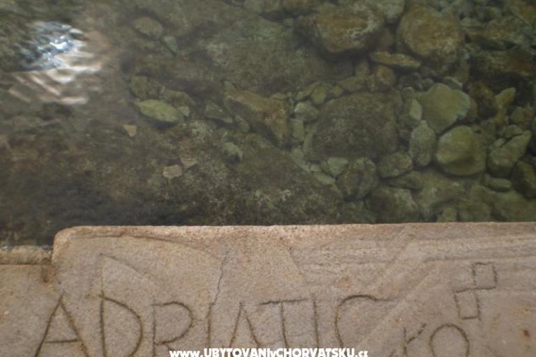 Appartamenti Ana-Marija – foto 17