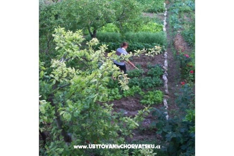 Appartamento Sempervivum – foto 12