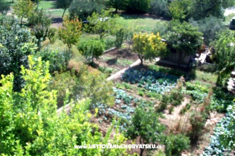Appartamento Sempervivum – foto 18