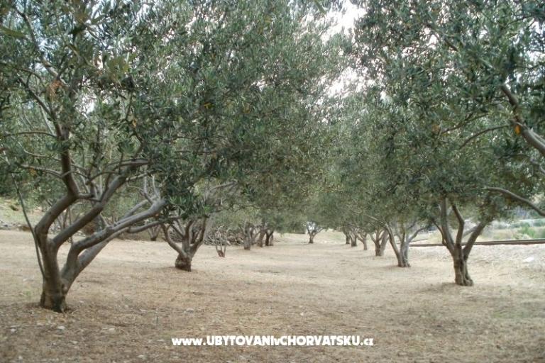 Appartamenti Grgin – foto 11