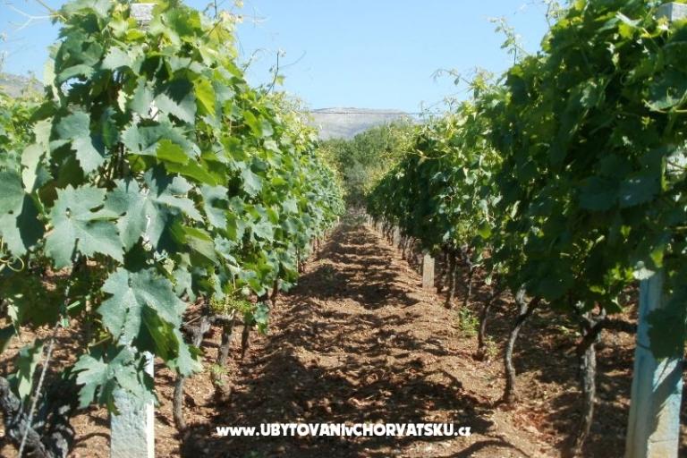 Appartamenti Grgin – foto 13