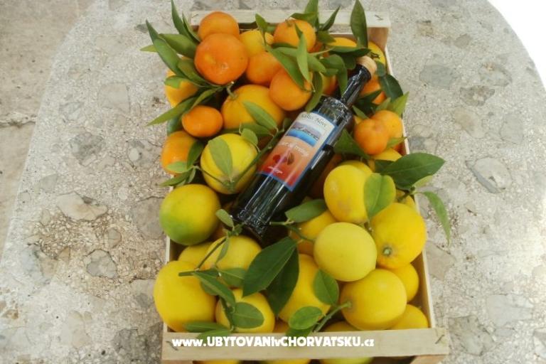 Appartamenti Grgin – foto 16