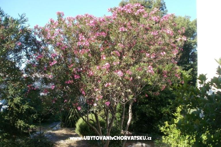 Appartamenti Grgin – foto 4