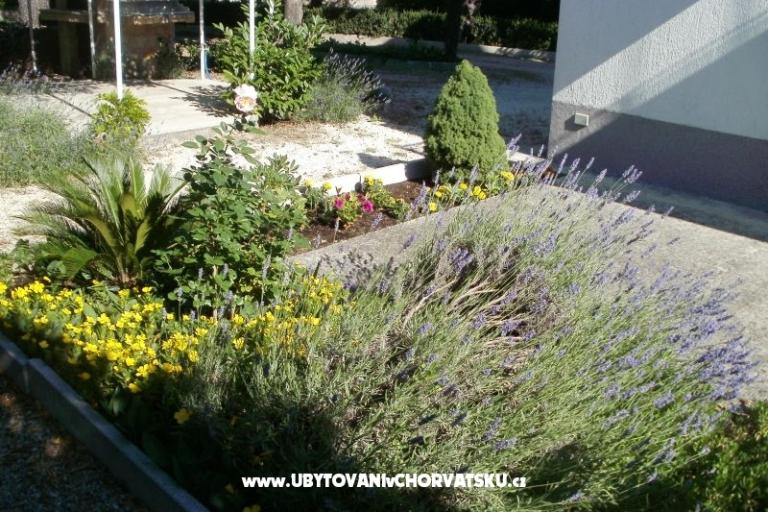 Appartamenti Grgin – foto 5