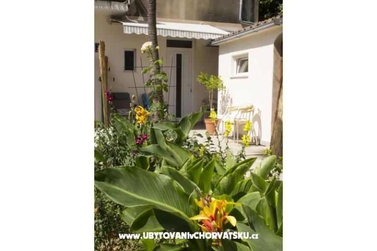 Appartamenti Bugenvilla – foto 11