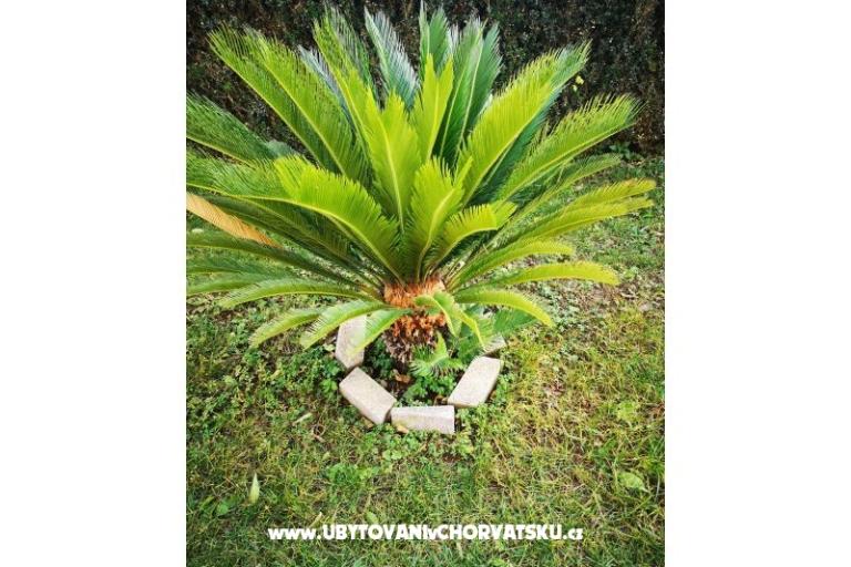 Appartamenti Casa Valentin – foto 33