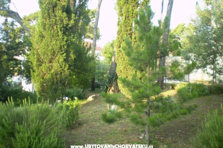 Appartamenti Grgin – foto 11