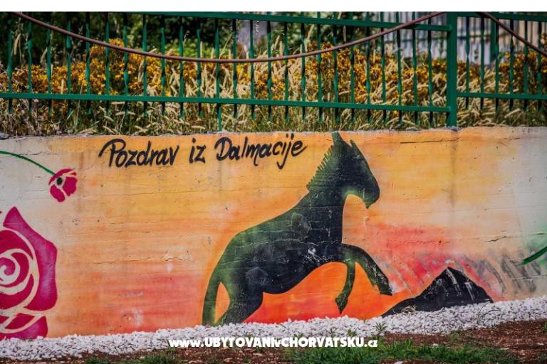 Luxury villa Cvita – foto 16
