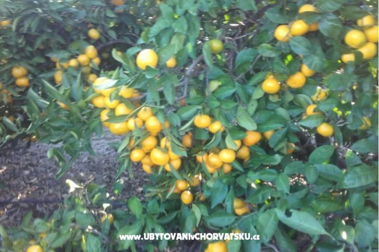 Appartamenti Alfijo – foto 10