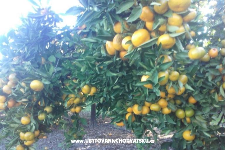 Appartamenti Alfijo – foto 11