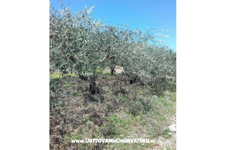 Appartamenti Alfijo – foto 13