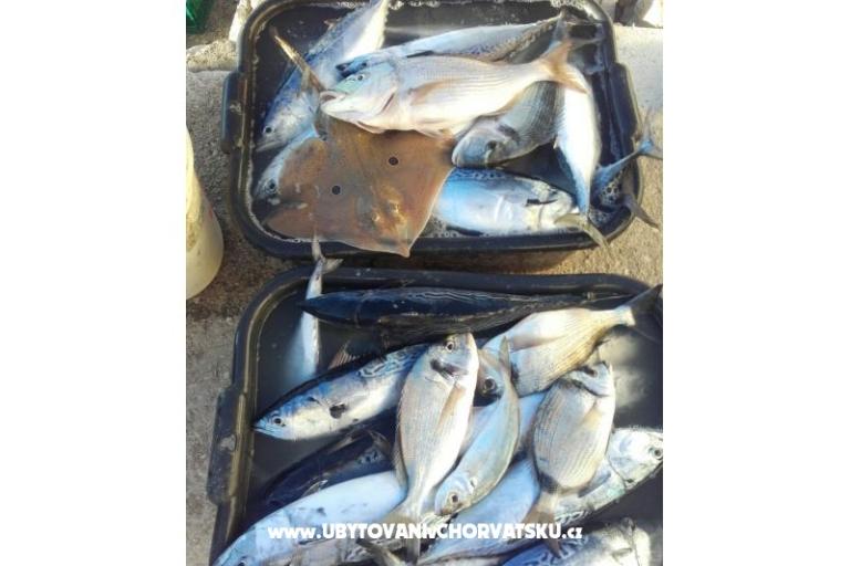 Appartamenti Alfijo – foto 9