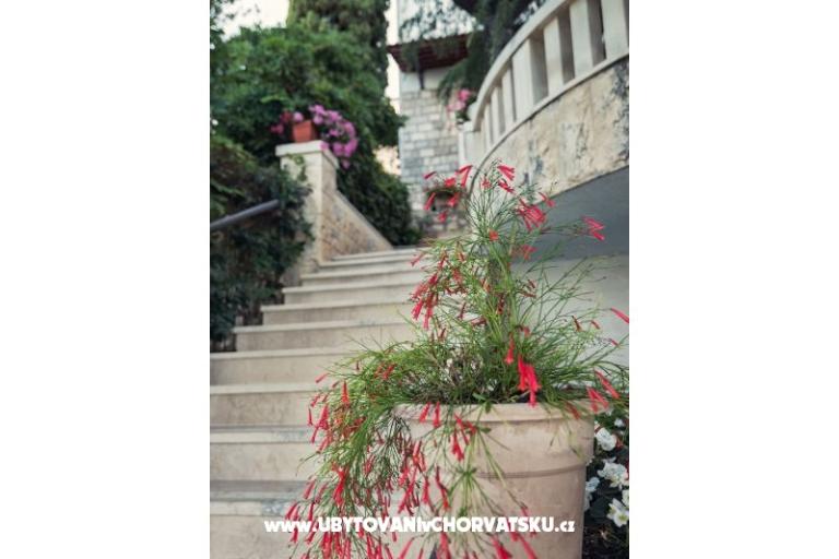 Appartamenti i Camere Villa Barbara – foto 11