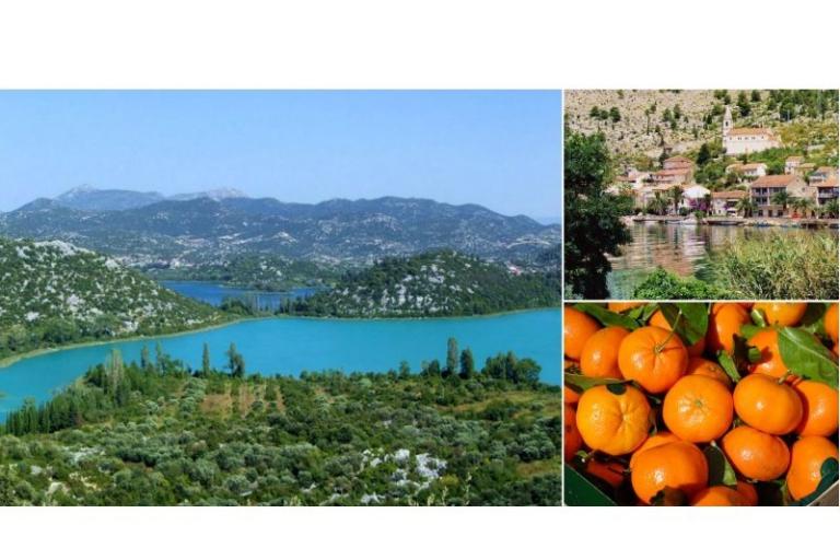 Appartamenti Lela – foto 14